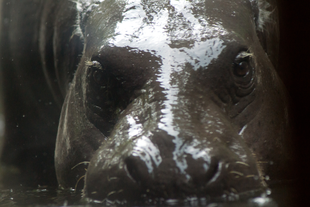 _DSC0802.jpg
