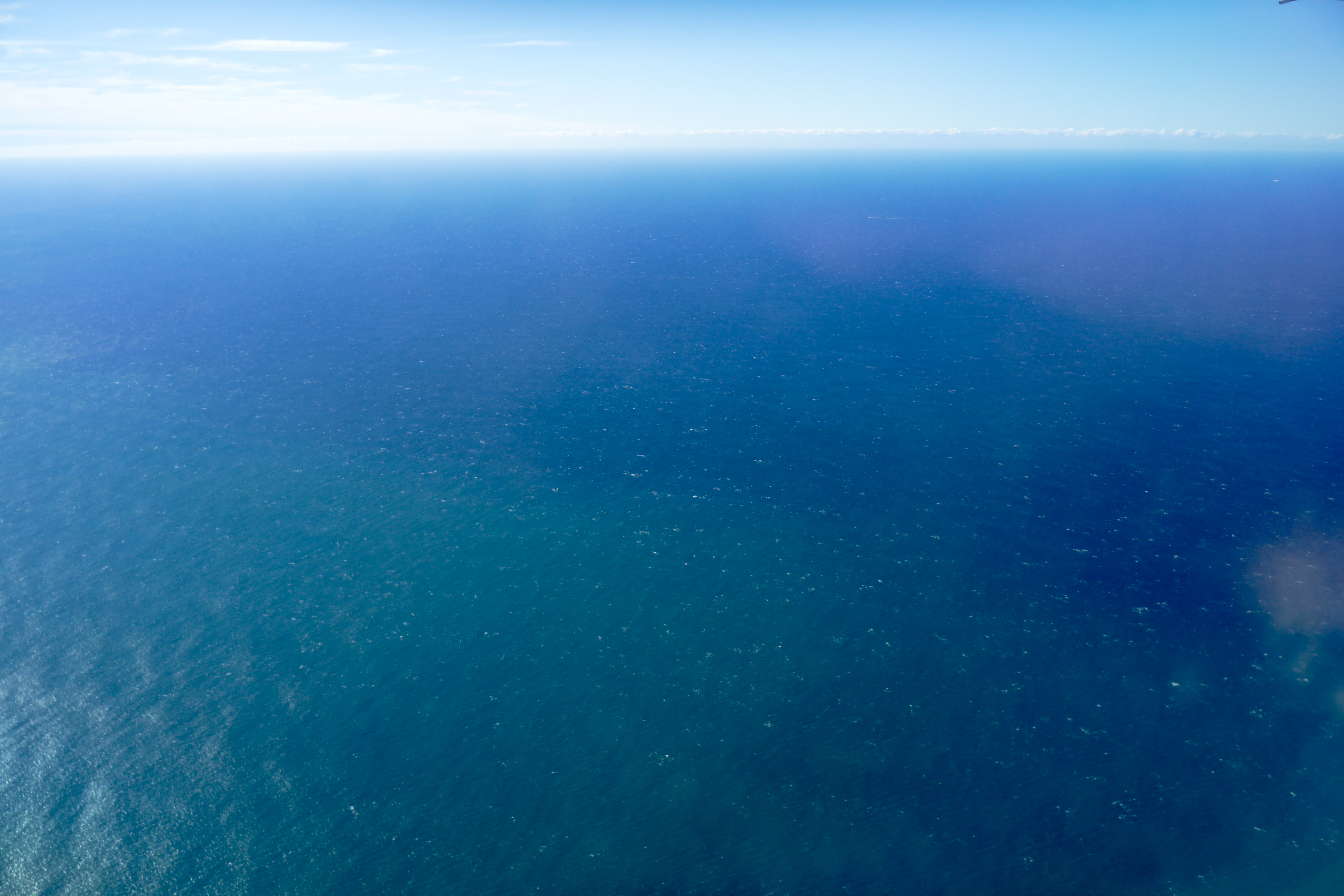 P1000047.jpg