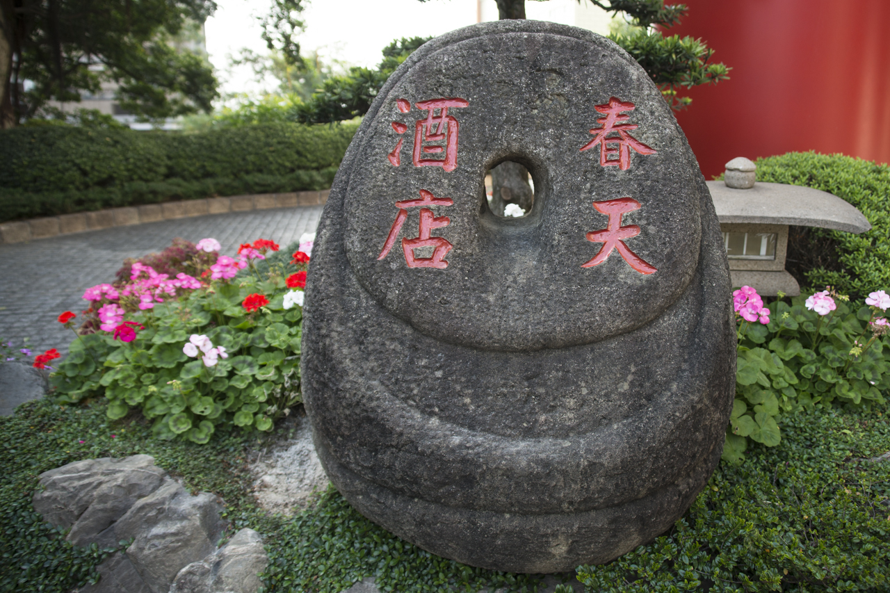 DSC02930.jpg