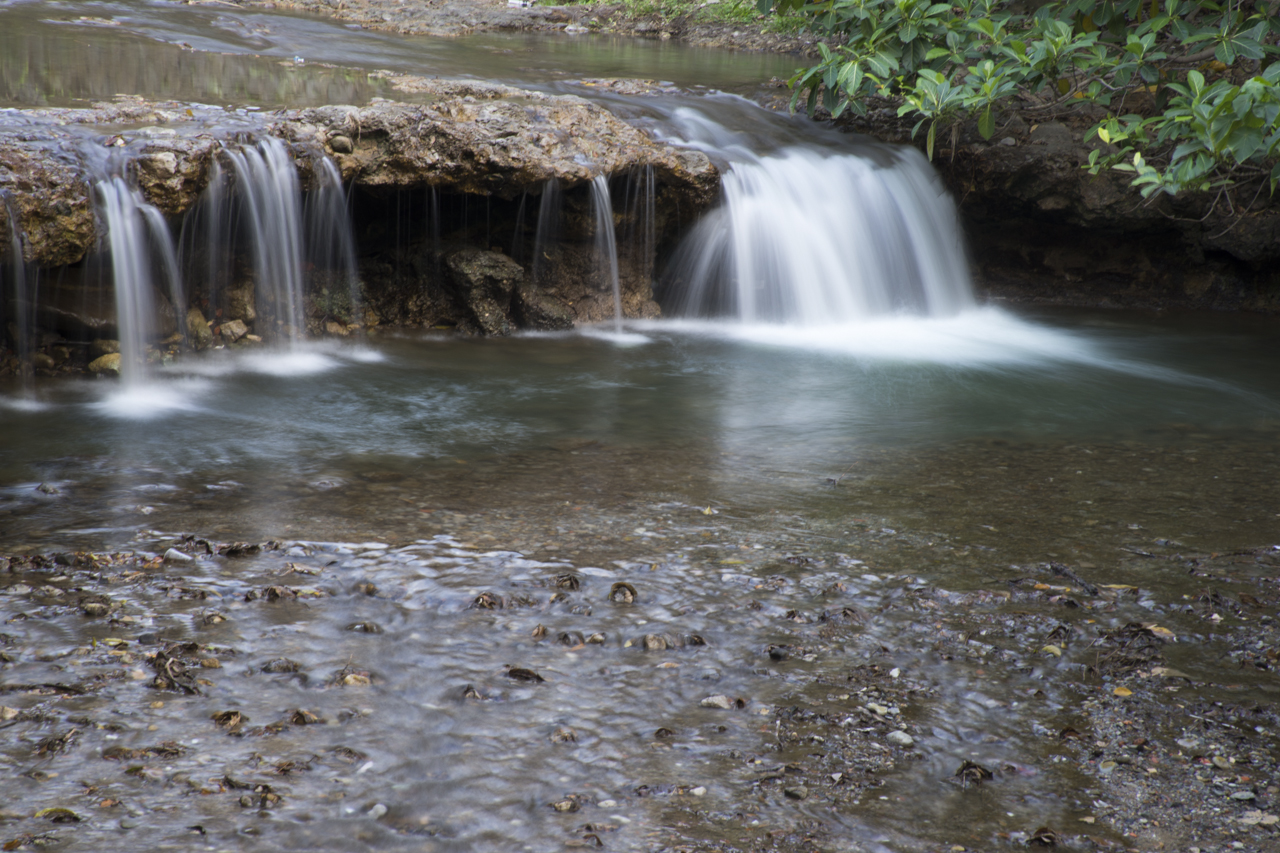 DSC03044.jpg