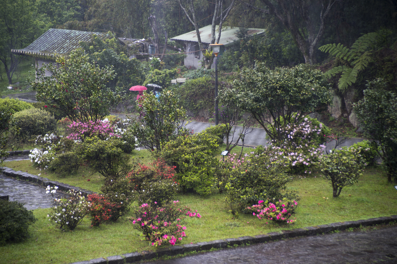 DSC03134.jpg