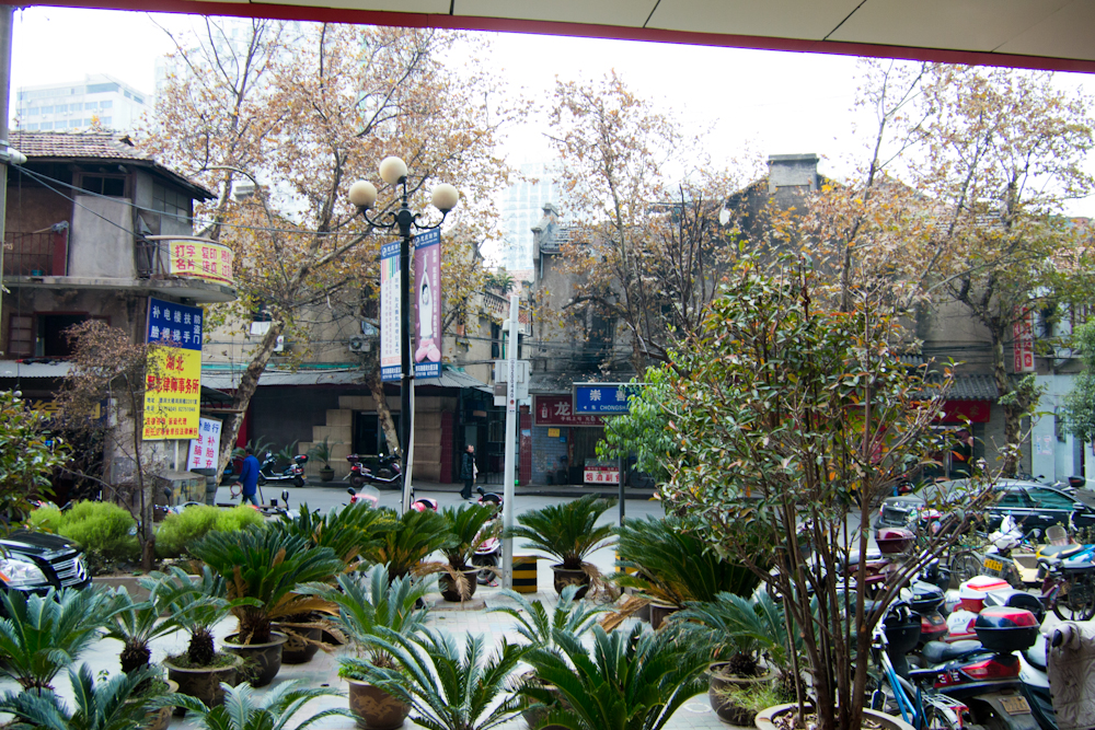 PC250962.jpg