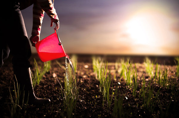 watering-plants.jpg