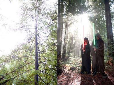 star_wars_engagement_shoot_bay_area_18.jpg