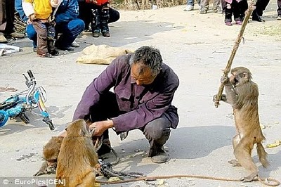 respect_nature_01.jpg