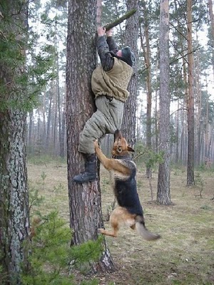 respect_nature_03.jpg
