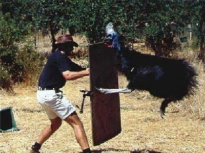 respect_nature_09.jpg