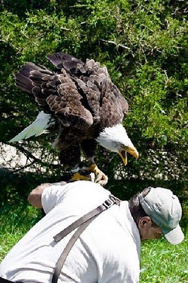 respect_nature_13.jpg