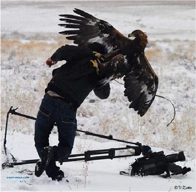 respect_nature_19.jpg