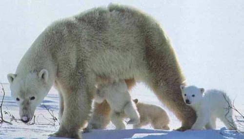 20031112_likesky101807_115949.jpg