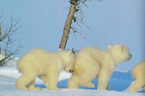 20031112_likesky101807_120504.jpg