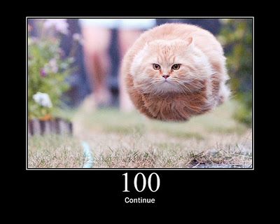 HTTP-Status-Cats-01.jpg