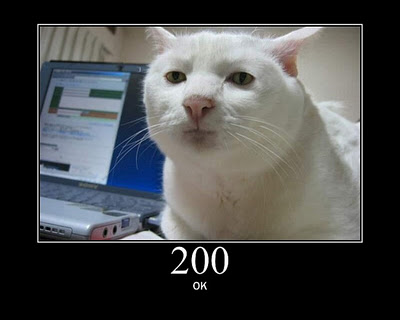 HTTP-Status-Cats-02.jpg