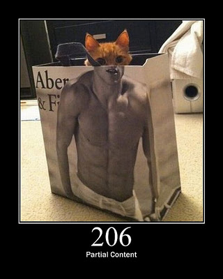 HTTP-Status-Cats-03.jpg