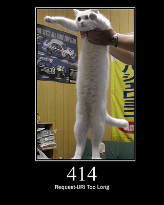 HTTP-Status-Cats-12.jpg