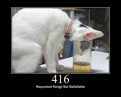 HTTP-Status-Cats-15.jpg