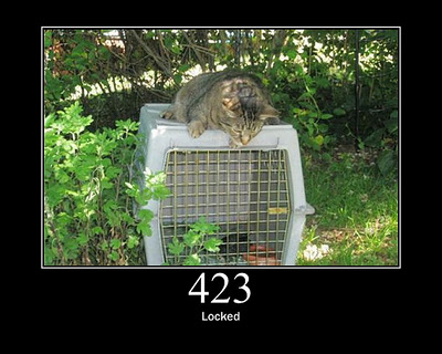 HTTP-Status-Cats-18.jpg