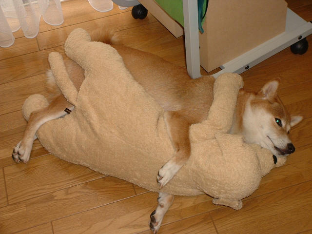 2002012100260009574.jpg