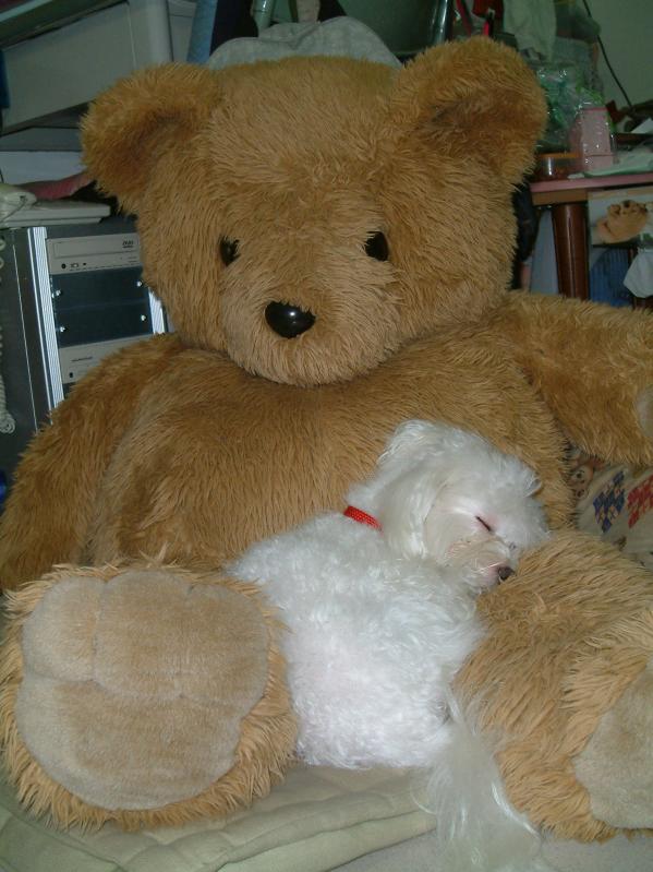 20031118_djoand_103110.jpg