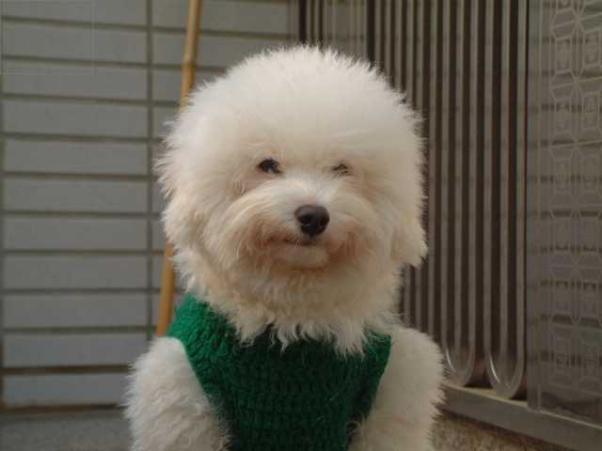 20031120_pauline71@sinamail.com_142628.jpg