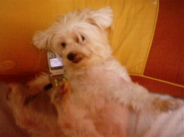 20031124_fatdison_203112.jpg
