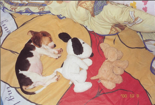 20031124_jessie20722_200133.jpg