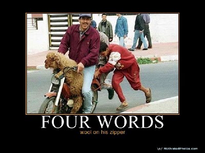 funny_demotivational_posters_31_001.jpg