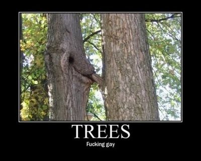 funny_demotivational_posters_35.jpg