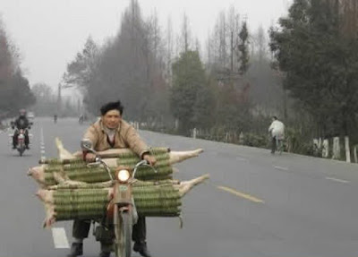 only_in_china_22.jpg
