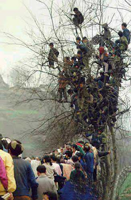 only_in_china_23.jpg