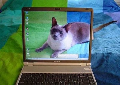 real_or_fake_05.jpg