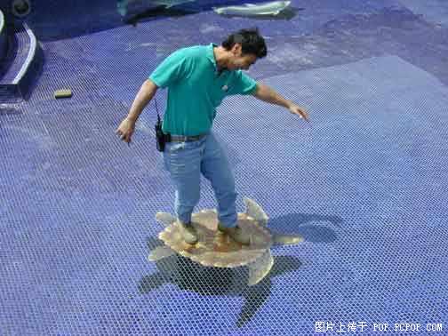 10850910.jpg
