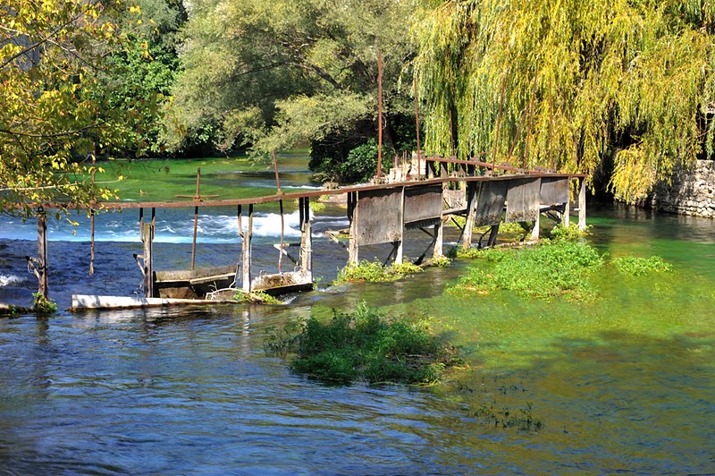 DSC_2422.jpg