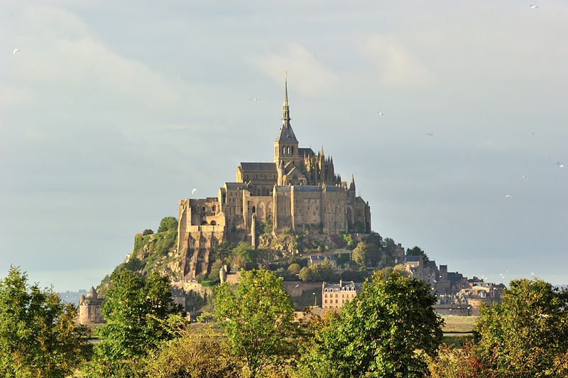 DSC_3368.jpg