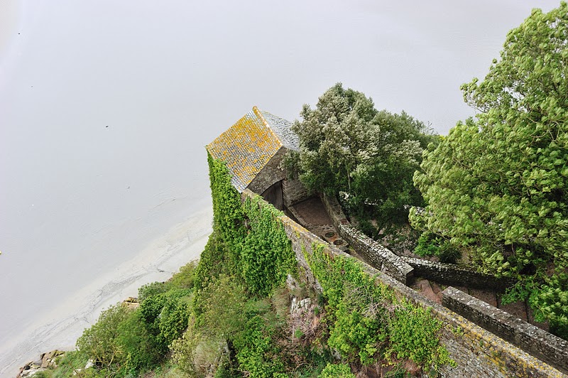 DSC_3488.jpg