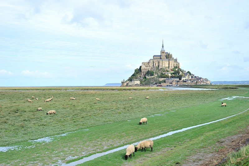 DSC_3641.jpg