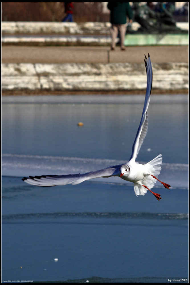20100223_d251f0b734d358b0287fyfl5q8cC1hJr.jpg