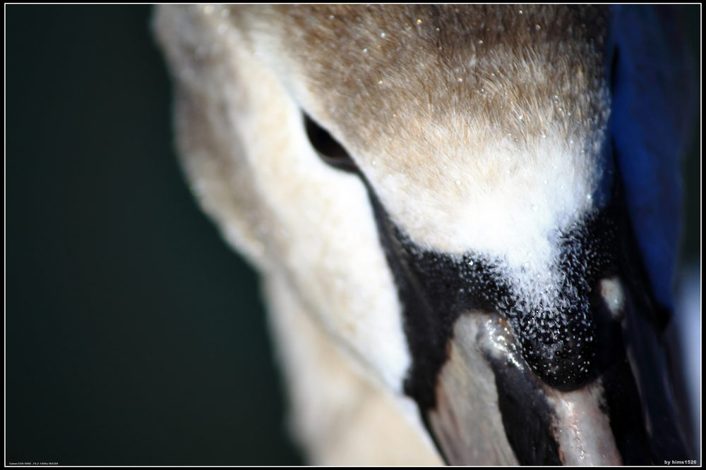 20100223_f7a9a777d802d0523c65QKLYvXPFSy70.jpg
