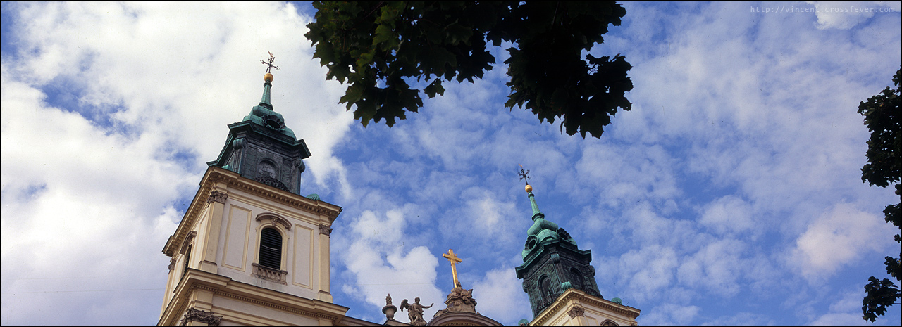 p13.jpg