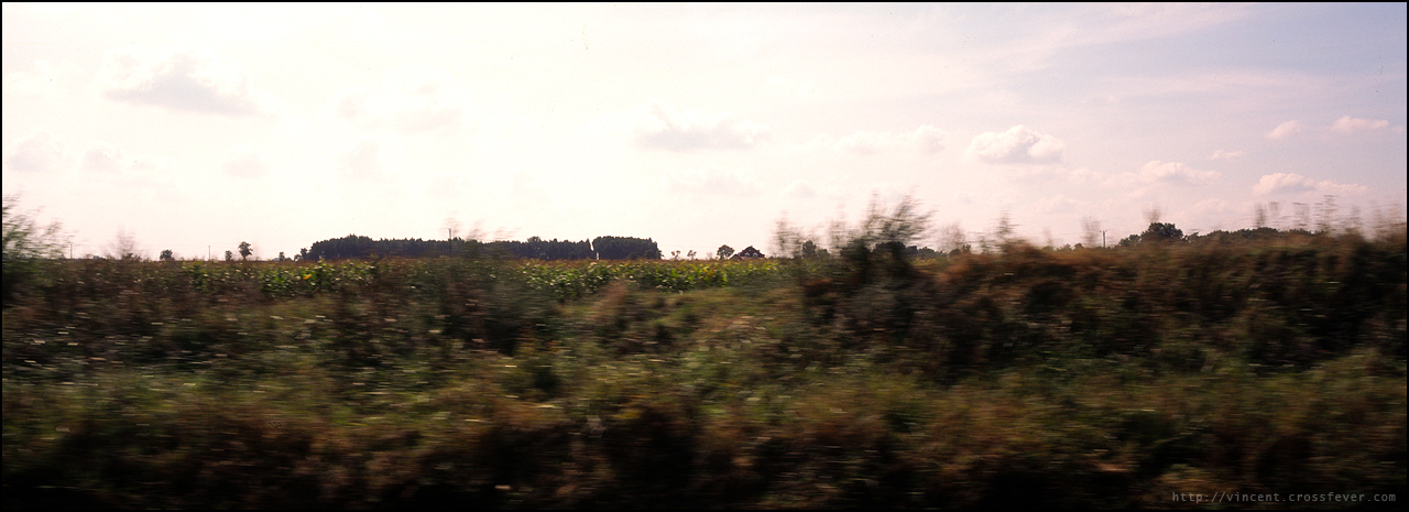 p15.jpg