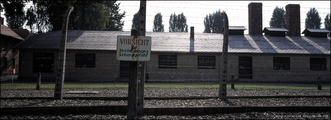 p22.jpg