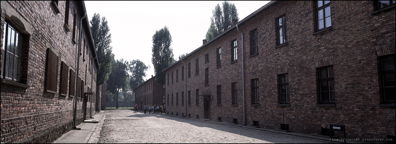 p26.jpg