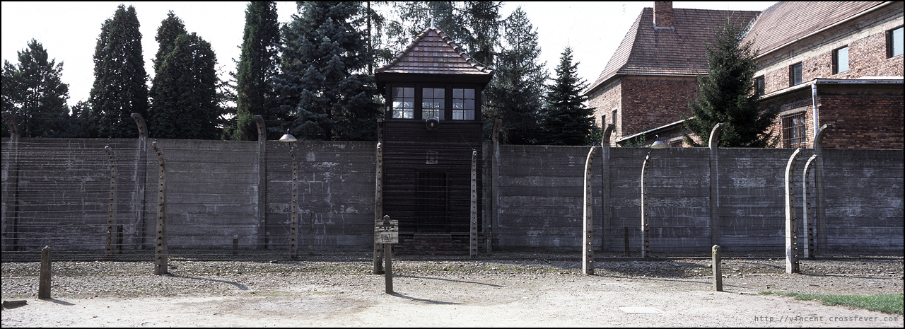 p28.jpg