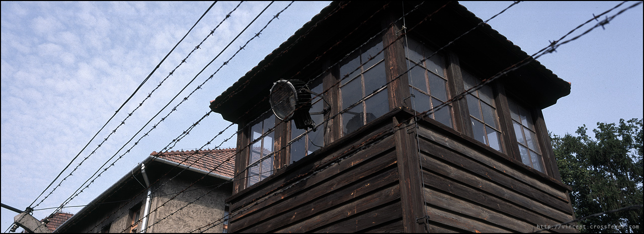 p29.jpg