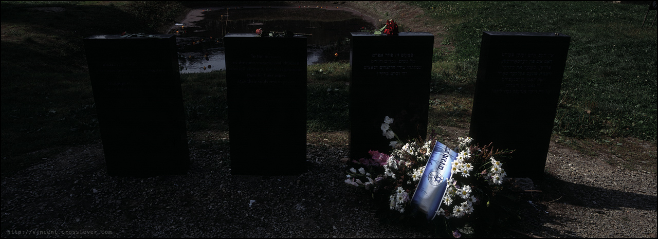 p49.jpg