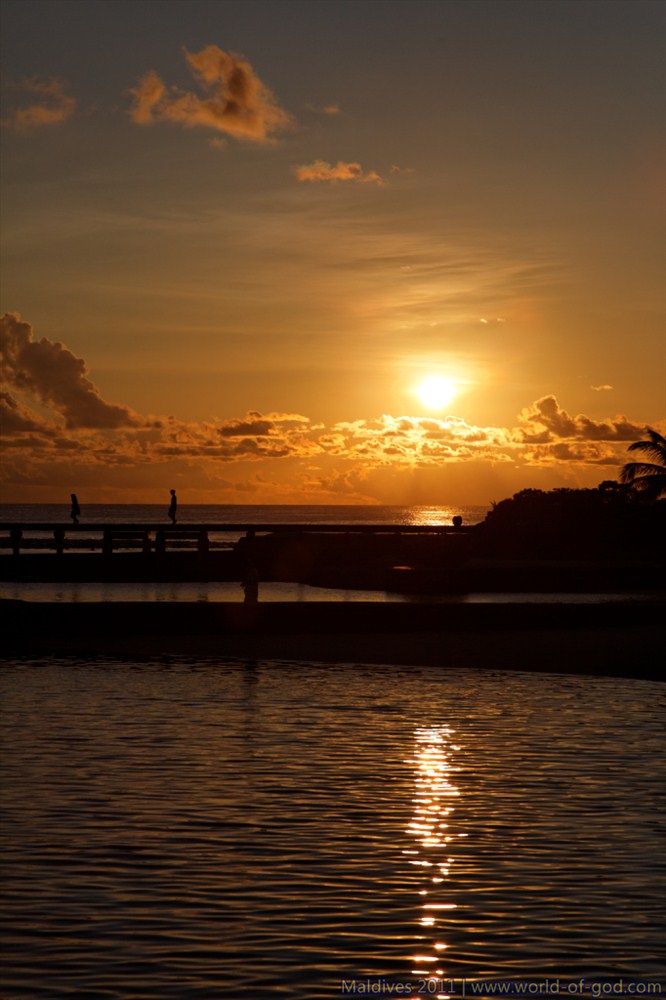 IMG_7560_DxO.jpg
