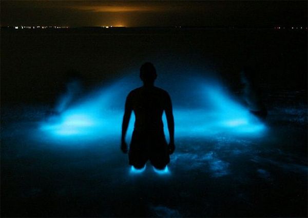 bioluminescent_lake_06.jpg