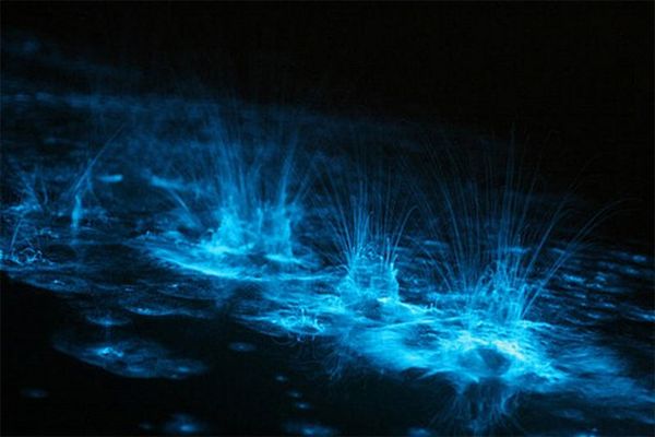 bioluminescent_lake_07.jpg