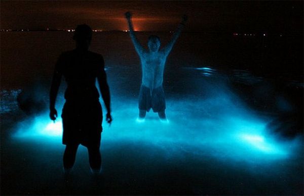 bioluminescent_lake_08.jpg