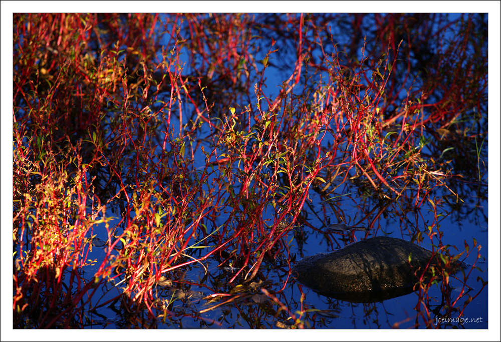 20091116_68a32d0e4f7c5dda5595bDdyYkgR2T4H.jpg